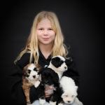 Tibet terriers en Fay-Lieke 